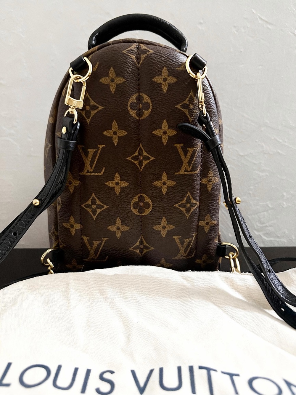 Louis Vuitton Monogram Mini Backpack in Brown and Black with Gold Hardware